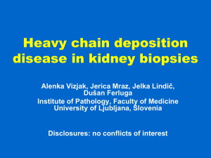 Heavy chain deposition disease in kidney biopsies (PPT / 13064.5 KB)