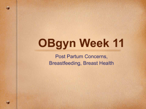 Post Partum & Breastfeeding