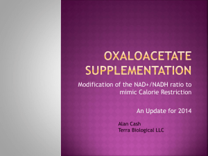 Increases in Lifespan due to Oxaloacetic Acid Supplementation