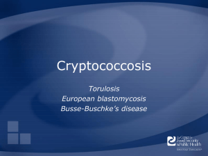 Cryptococcosis - The Center for Food Security and Public Health