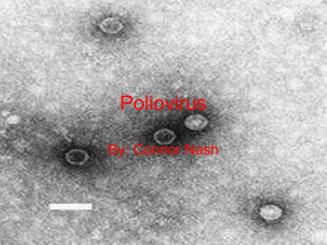 Polio_virus