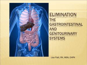 Elimination The Gastrointestinal and Genitourinary Systems