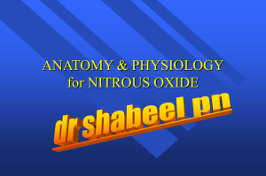 anatomy and physiology of nitrous oxide