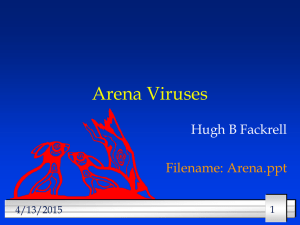 Arena Viruses