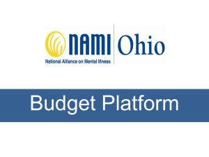 Budget Platform PowerPoint
