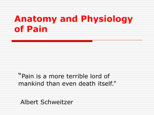 Anatomy and Physiology of Pain