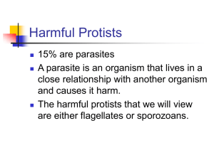harmful protists - Horace Mann Webmail