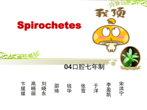 Spirochetes