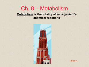 Ch 8 - Metabolism (enzymes)