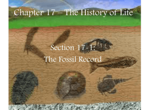 Chapter 17 * The History of Life