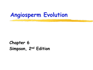Ch 6 Angiosperm Evolution