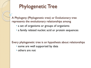SP01_Lec04_Comparative Phylogeny and Tree Analysis - bio-bio-1
