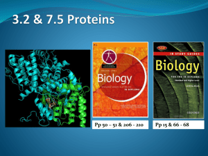 3.2 & 7.5 Proteins - IBDPBiology-Dnl