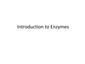 Enzyme Introductory Lecture