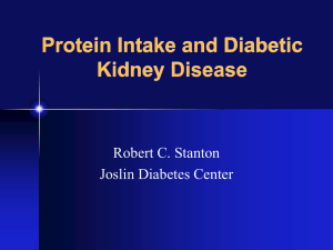 Protein Intake and Diabetic Kidney Disease