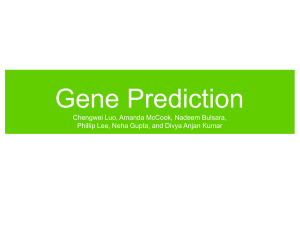 RNA gene prediction