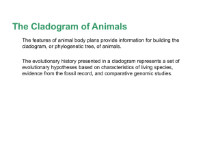Cladograms with emphasis on Chordates