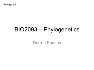 BIO2093_DMS1_phylogeny