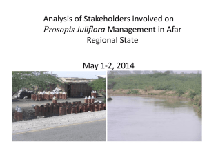 Analysis of Stakeholders Involved on Prosopis Juliflora