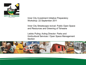 Inner City Streetcape revival and public open spaces
