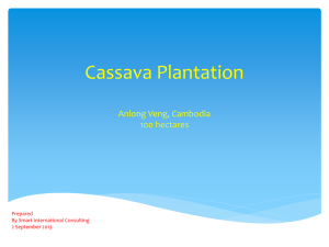 Cassava Plantation Snoul, Kratie 1,915 hectares