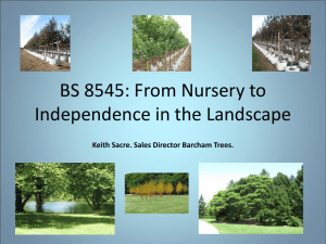 BS 8545: From Nursery to Independence in the Landscape