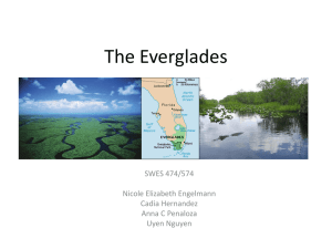 Everglades_GROUP presentation_Sep22