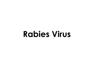 Rabies in the United States - Iowa Veterinary Medical Association