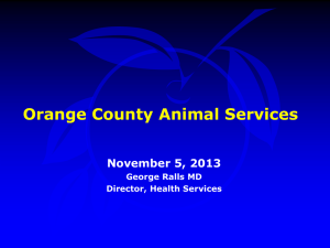 Discussion Animal Services Action Plan