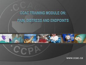 CCAC_training_module_on_pain_distress_and_endpoints