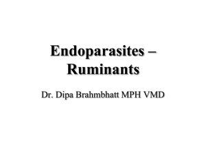 endoparasitesnew - Dr. Brahmbhatt`s Class Handouts