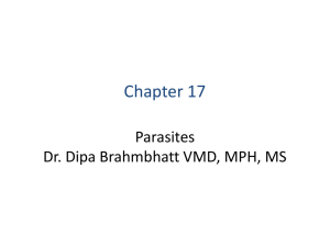 smallruminant4_2 - Dr. Brahmbhatt`s Class Handouts