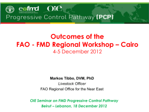 FMD Regional Workshop – Cairo 4-5 December - RR