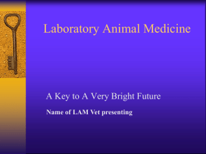 Laboratory Animal / Comparative Medicine Alternative Careers