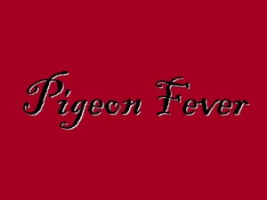 Pigeon Fever - Riverside Veterinary Clinic