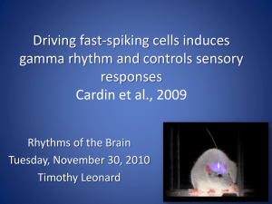 Driving fast-spiking cells induces gamma rhythm and controls
