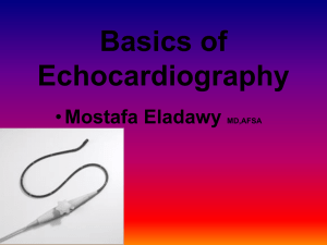Basics of Echocardiography