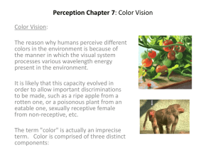 Perception Chapter 7: Color Vision
