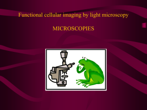 Microscopies" PPT - The Parker Lab at UCI