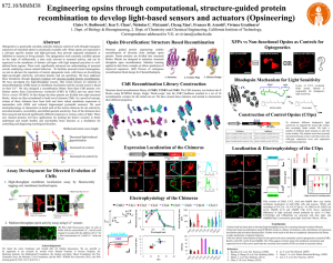 Claire_SfN_2013_PosterFINAL