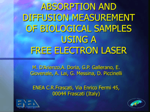 Absorption and diffusion measurements of biological samples using