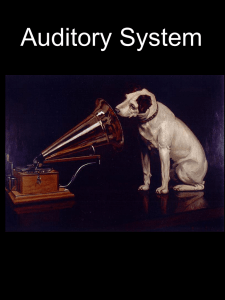 Sensory systems: III. Auditory