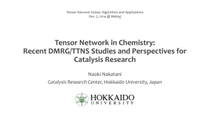 Recent DMRG/TTNS Studies and Perspectives for Catalysis Research