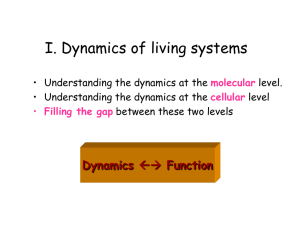 Lecture 12 - Computational & Systems Biology