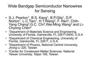 Wide Bandgap Semiconductor Nanowires for Sensing