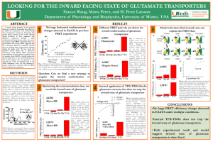 looking for the inward facing state of glutamate transporters
