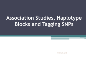 Haplotype Blocks and Tagging SNPs
