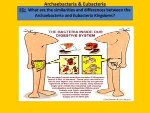 Archaebacteria & Eubacteria EQ: What are the similarities and