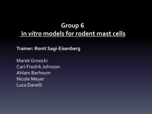 Group_6_Presentation - Mast Cell