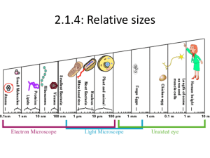 2.1.4: Relative sizes